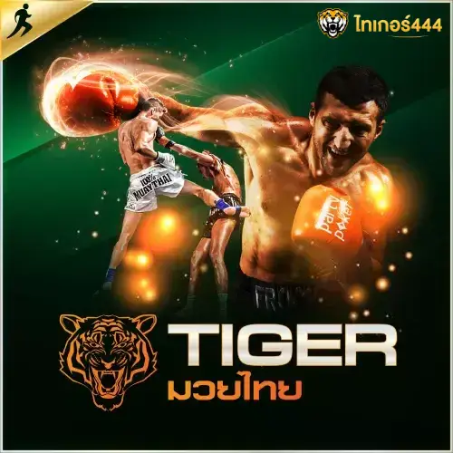 tiger444-tiger444 เครดิตฟรี